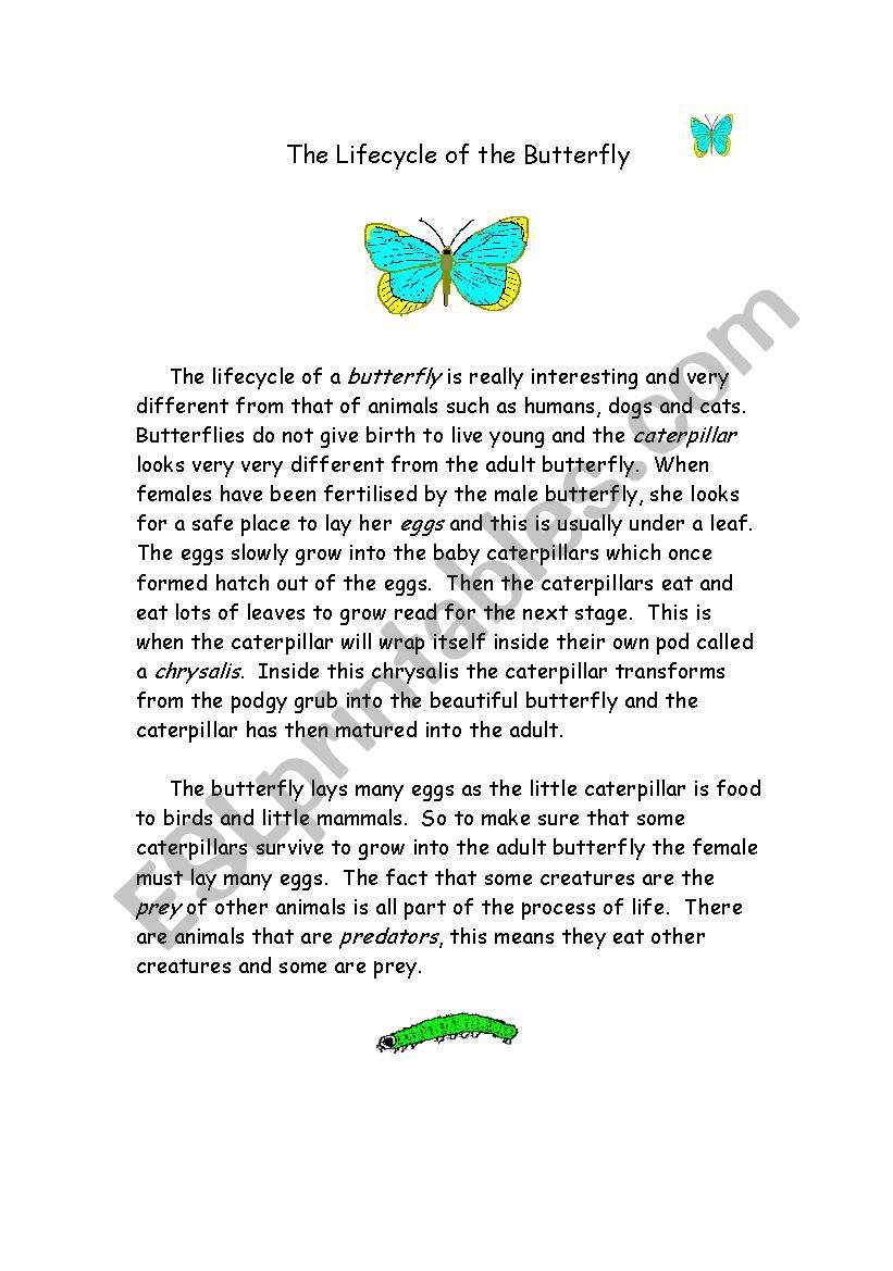 butterfly life-cycle worksheet