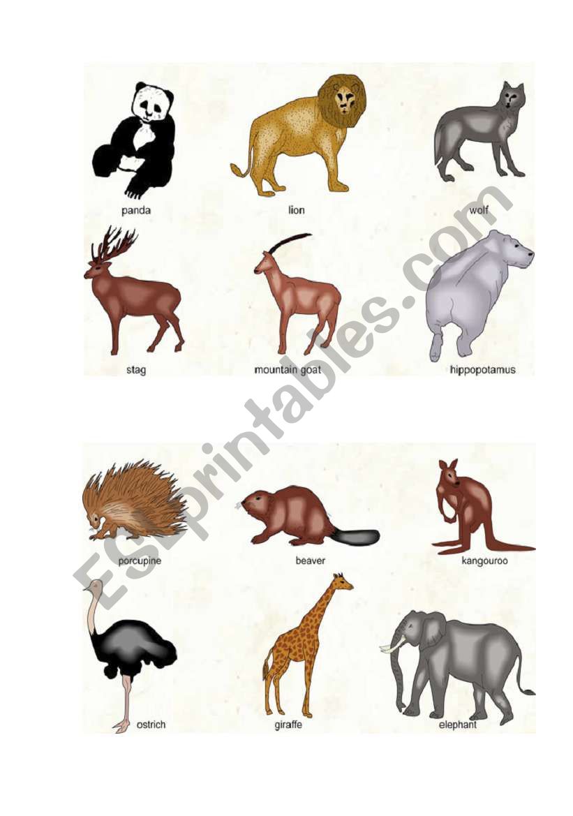 animals worksheet