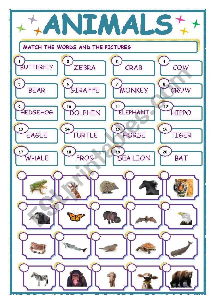 MATCHING  EXERCISE - ANIMALS worksheet