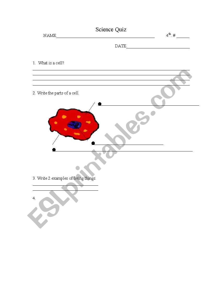 science quizz worksheet