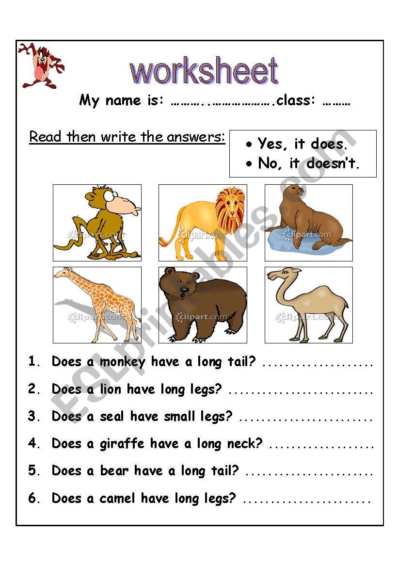 Read then write the answers: worksheet