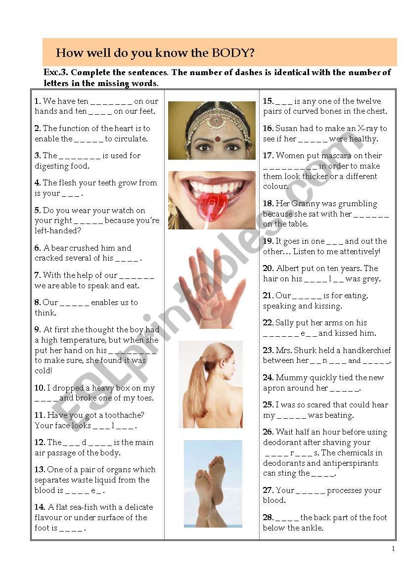 How well do you know the BODY? (Exc.3)