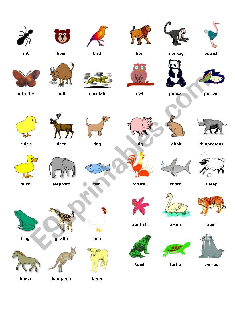 Picture dictionary worksheet