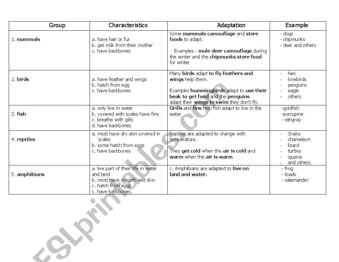 Animals with backbones worksheet