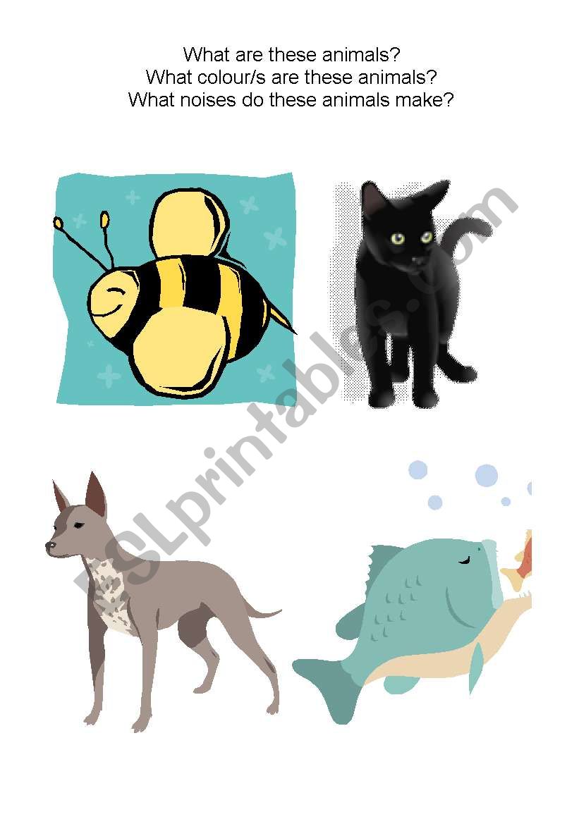 English worksheets: Learning Animals, Their Colours & Noises