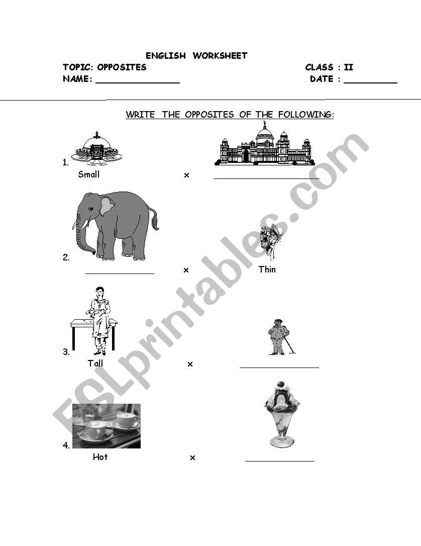  opposites worksheet