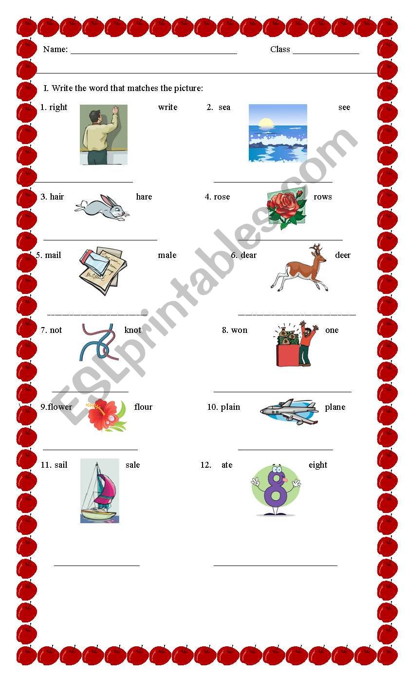 Homophones worksheet