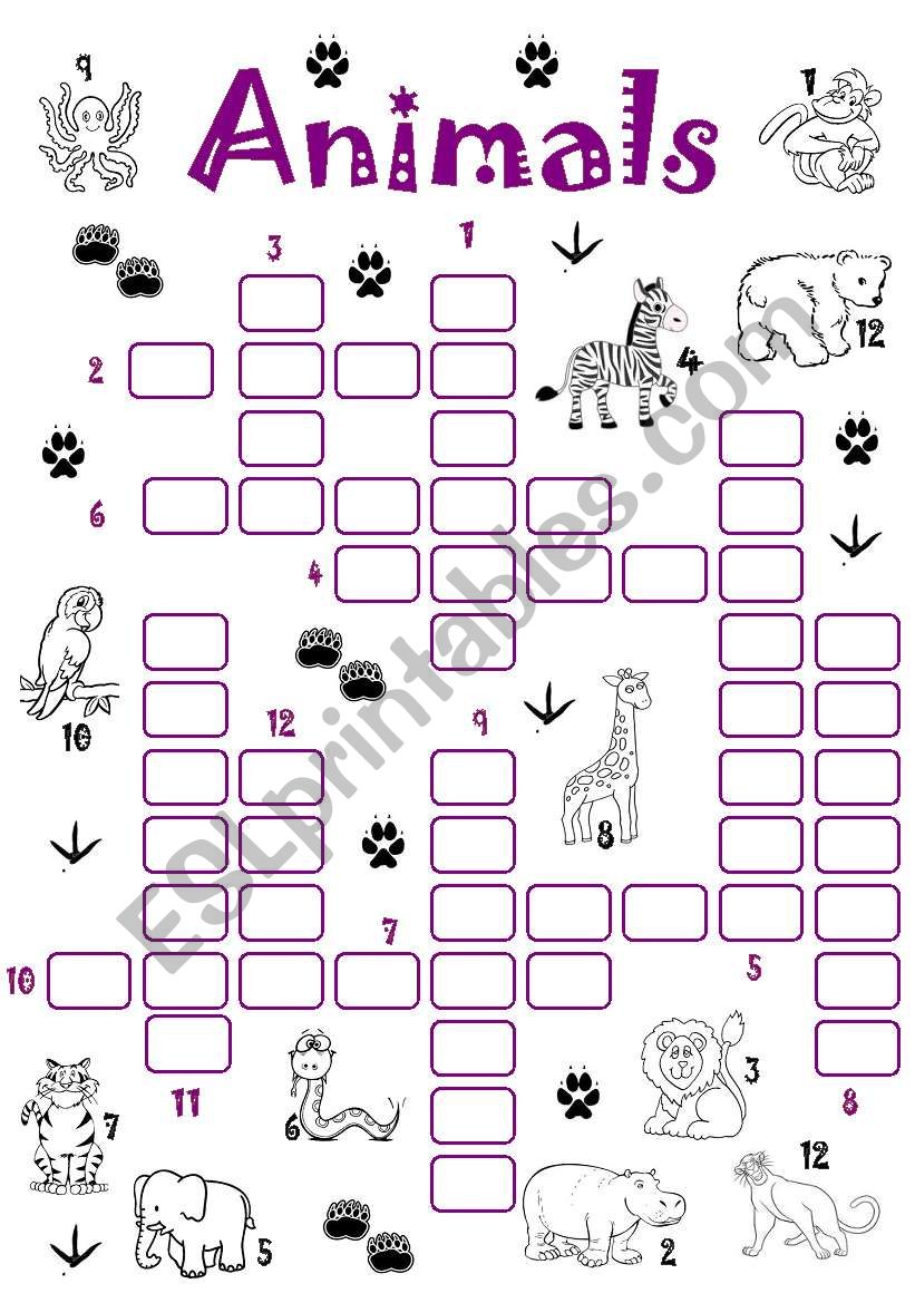 animals worksheet