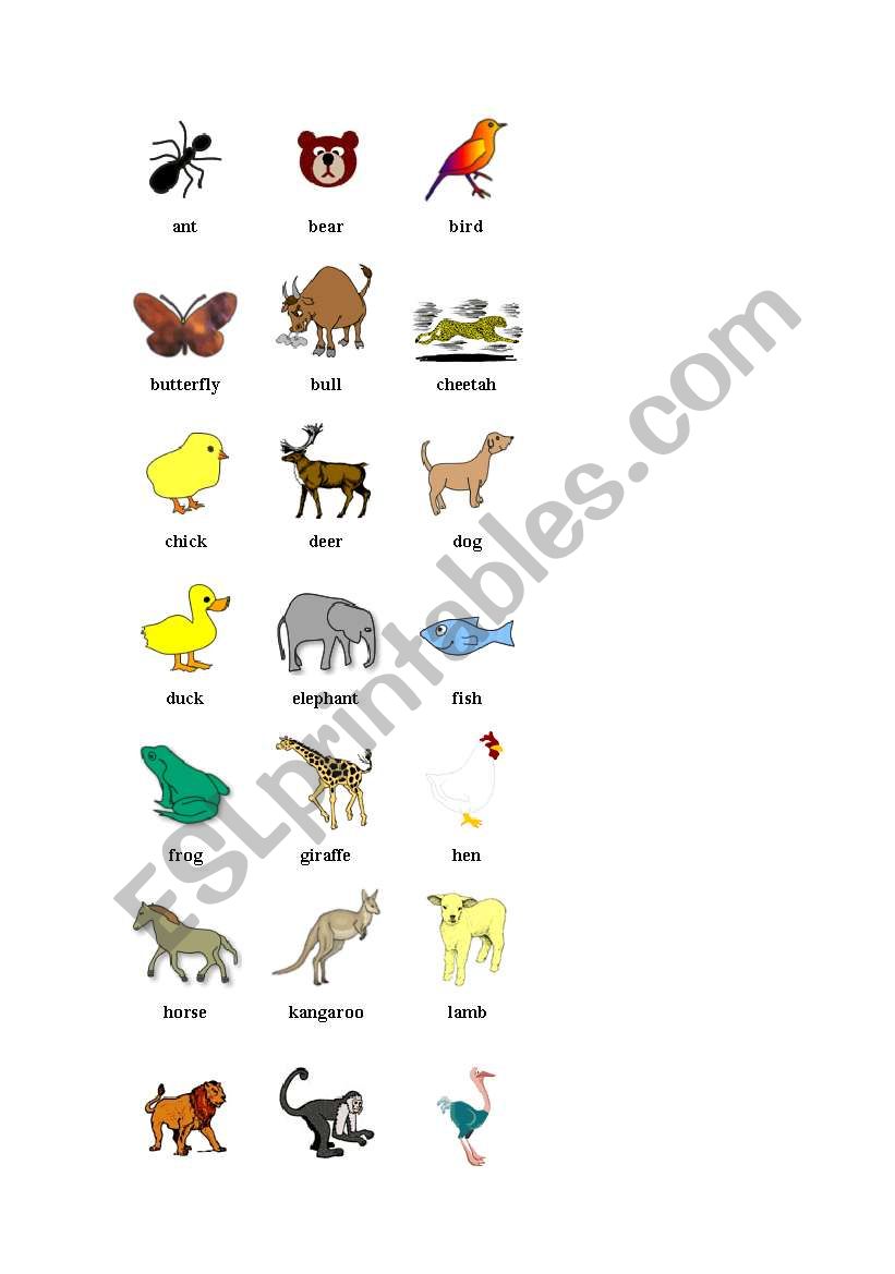 animals worksheet