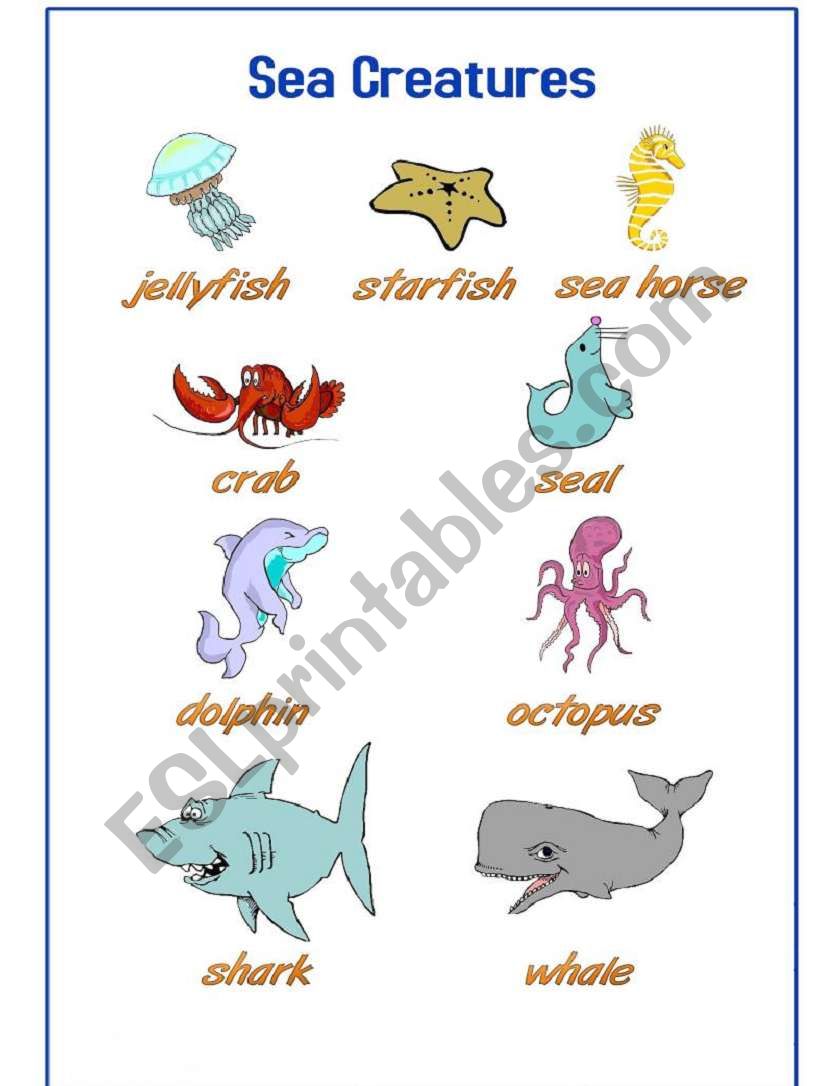 Sea Creatures Pictionary worksheet