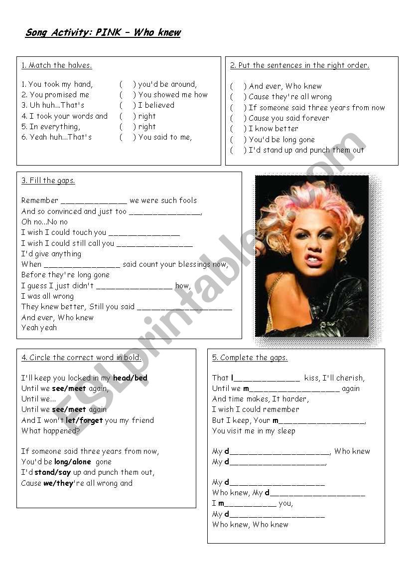 PINK - Who Knew Activity worksheet