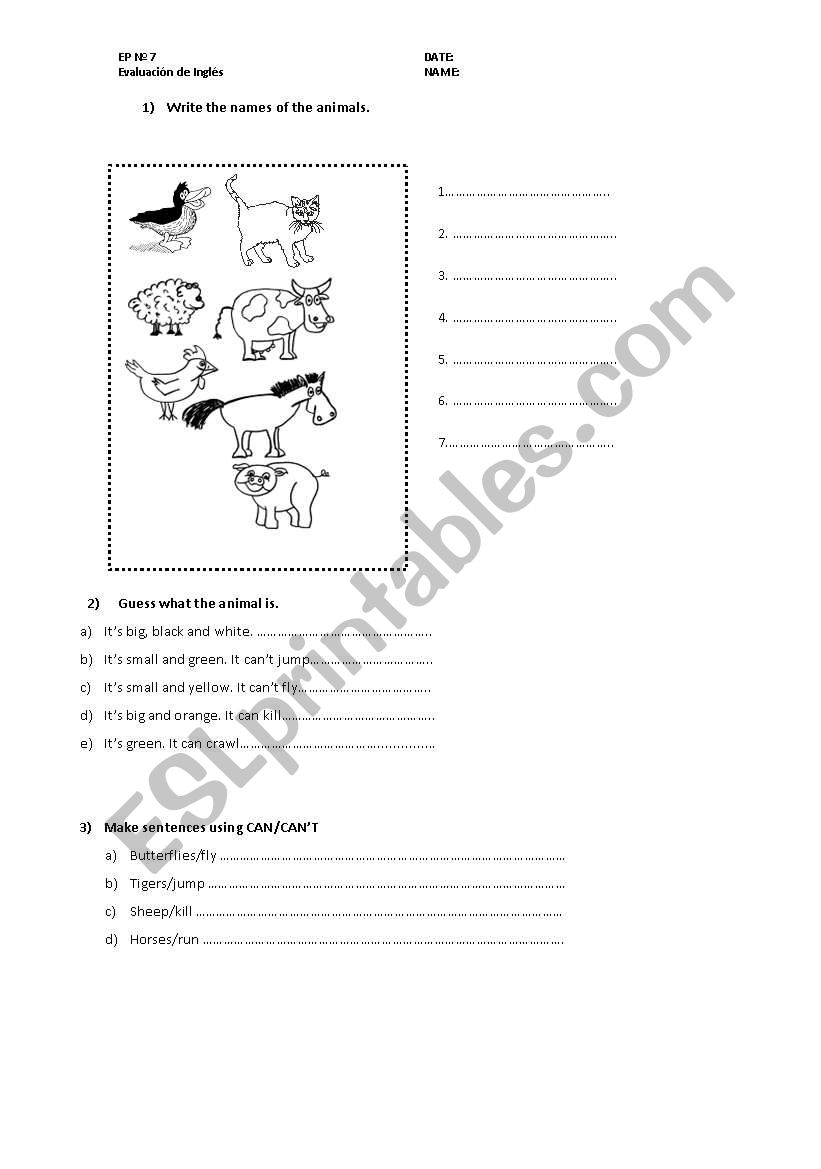 animals-can worksheet