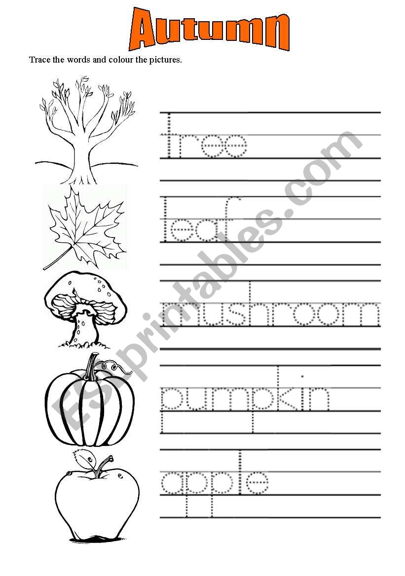 Autumn vocabulary worksheets 1