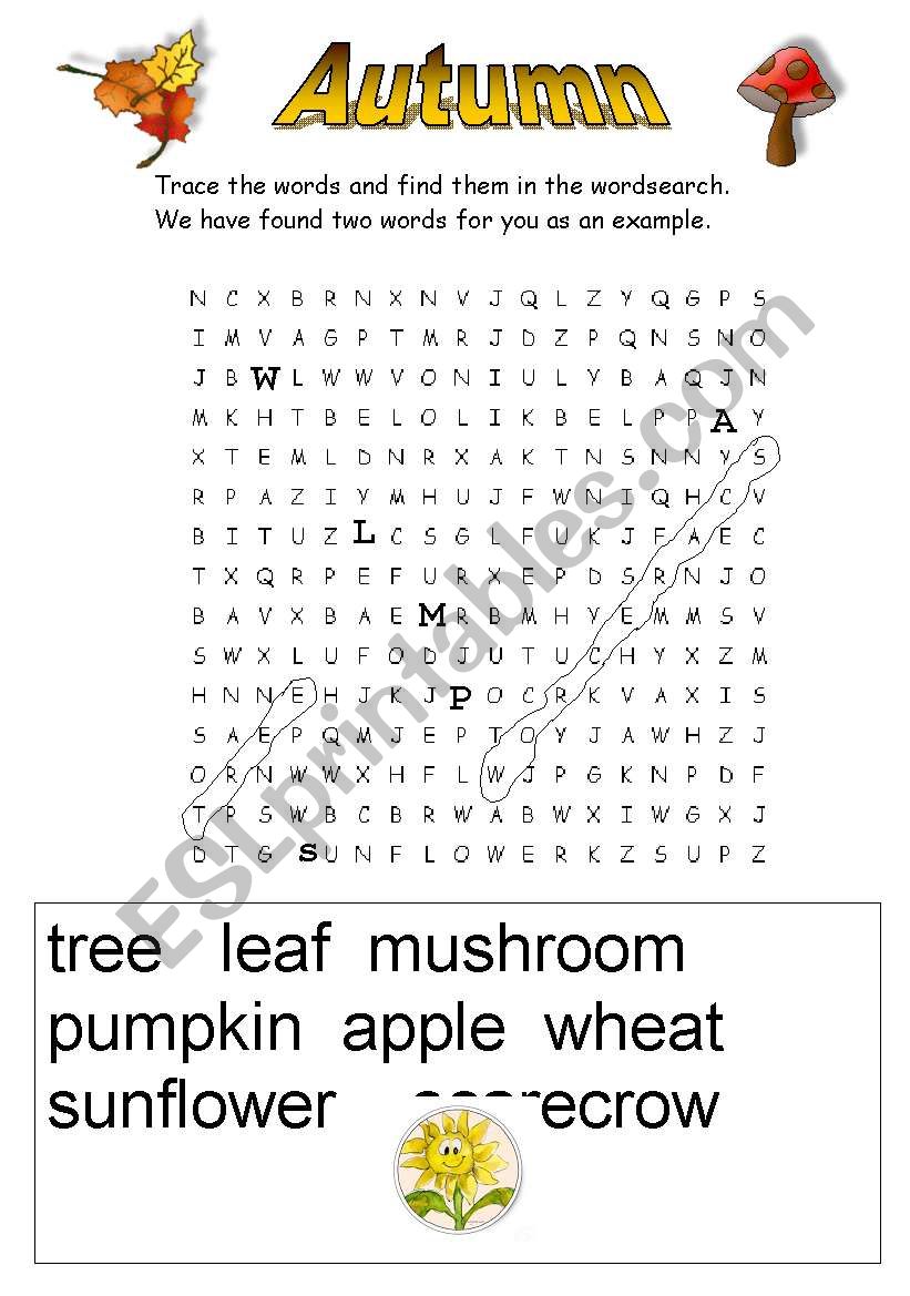Autumn wordsearch vocabulary worksheet