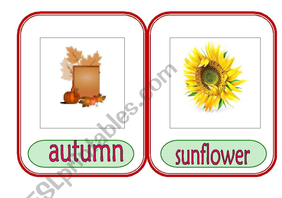 Autumn 1 worksheet