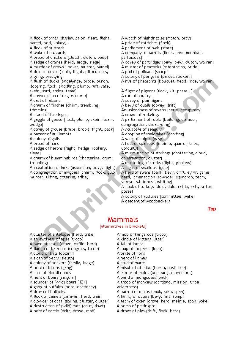 Collective Nouns worksheet