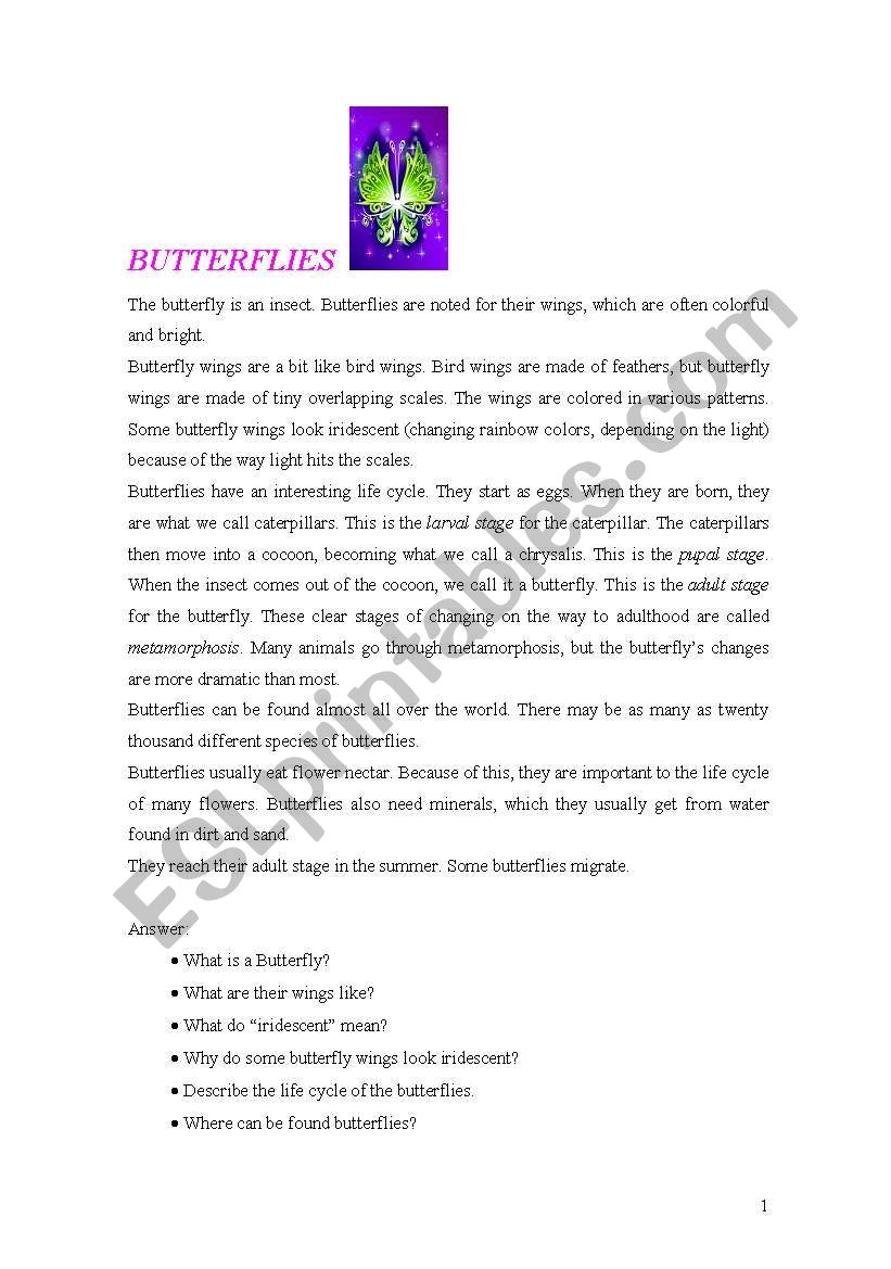 Butterflies - Reading and Comprehension