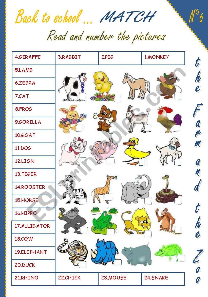 Back to school: animals worksheet