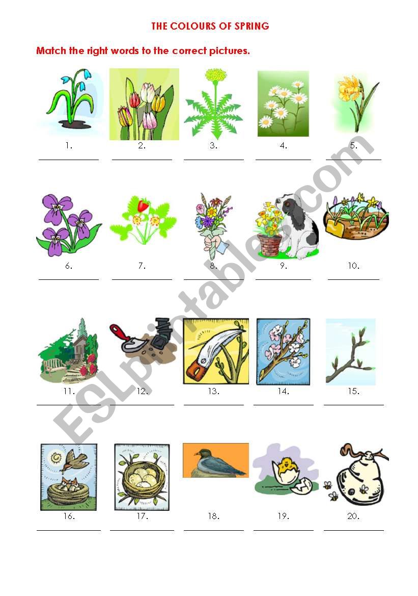 The Colours of Spring (p. 1) worksheet