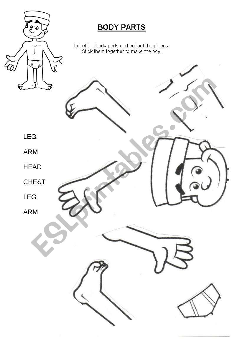 Body - Cut and Stick worksheet