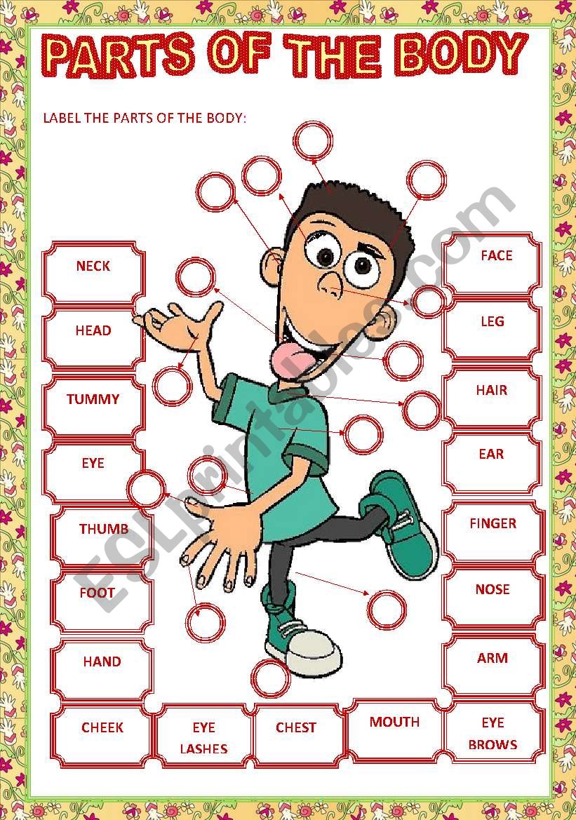 PARTS OF THE BODY worksheet