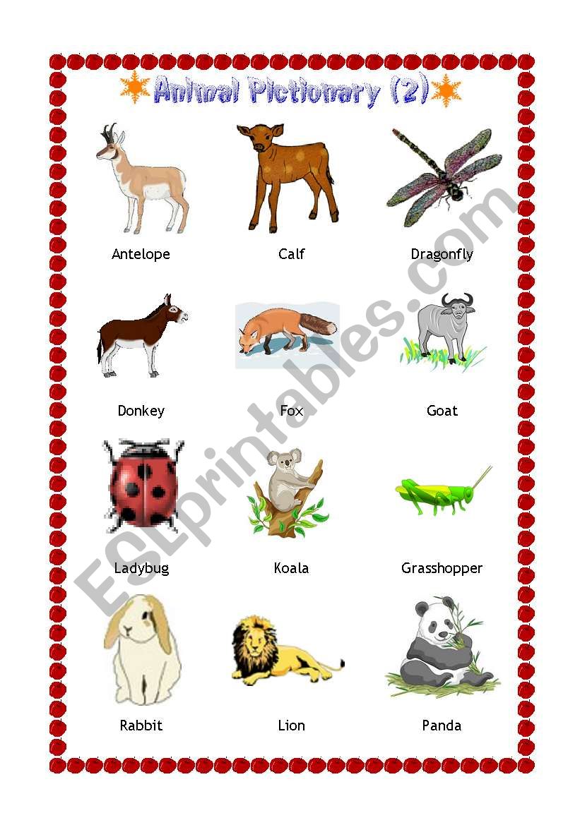 Animal Pictionary 2 worksheet