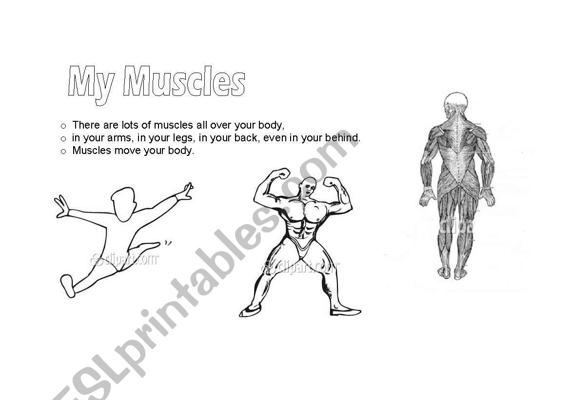 english-worksheets-my-muscles