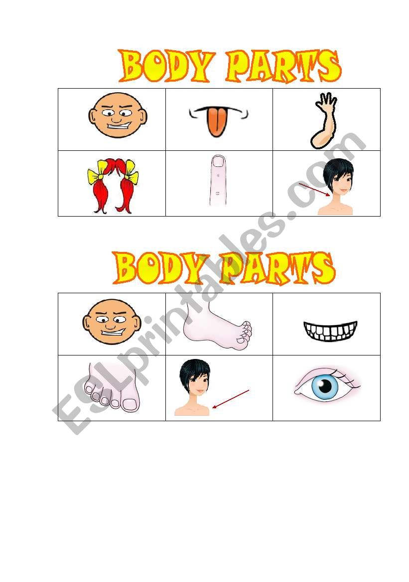 Body Parts Bingo Part 1 of 3 worksheet