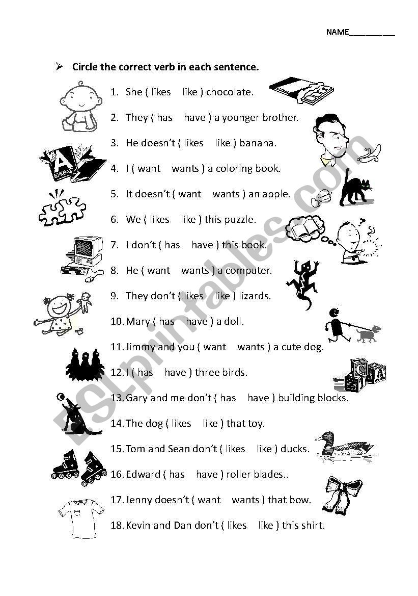 +s or not worksheet