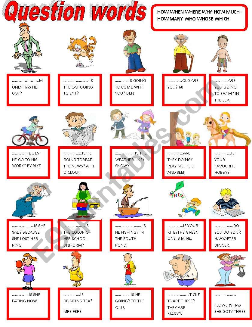 question words worksheet