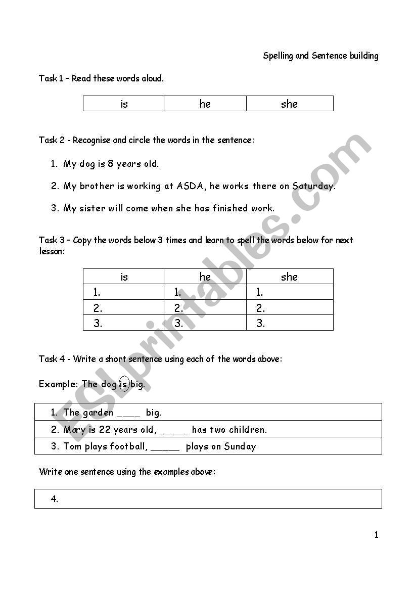 spelling, writing and sentence building - 4 pages