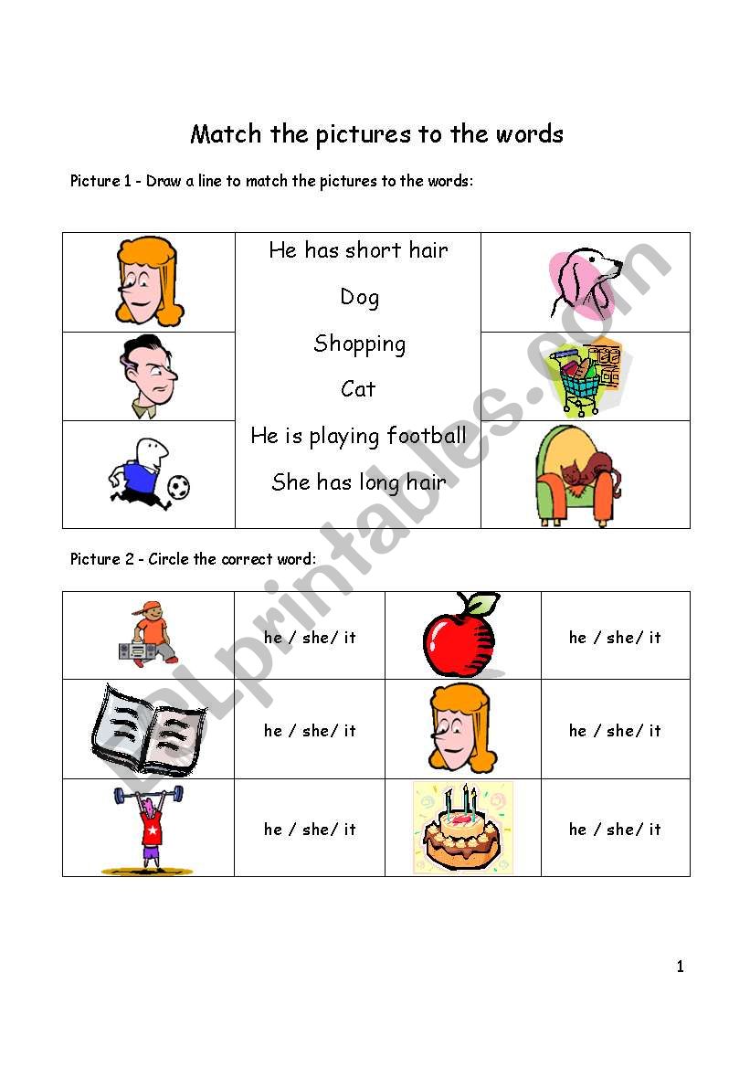 Match the pictures to the words - personal pronouns