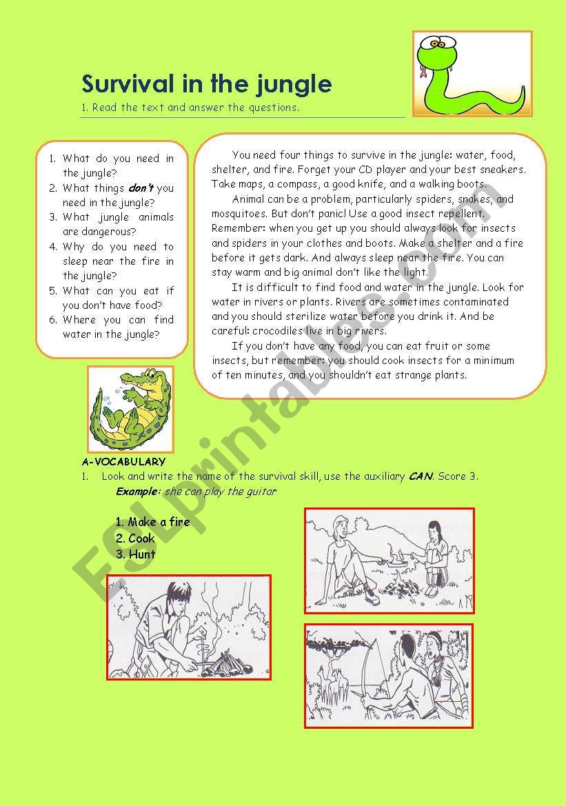 Survival in the Jungle  worksheet