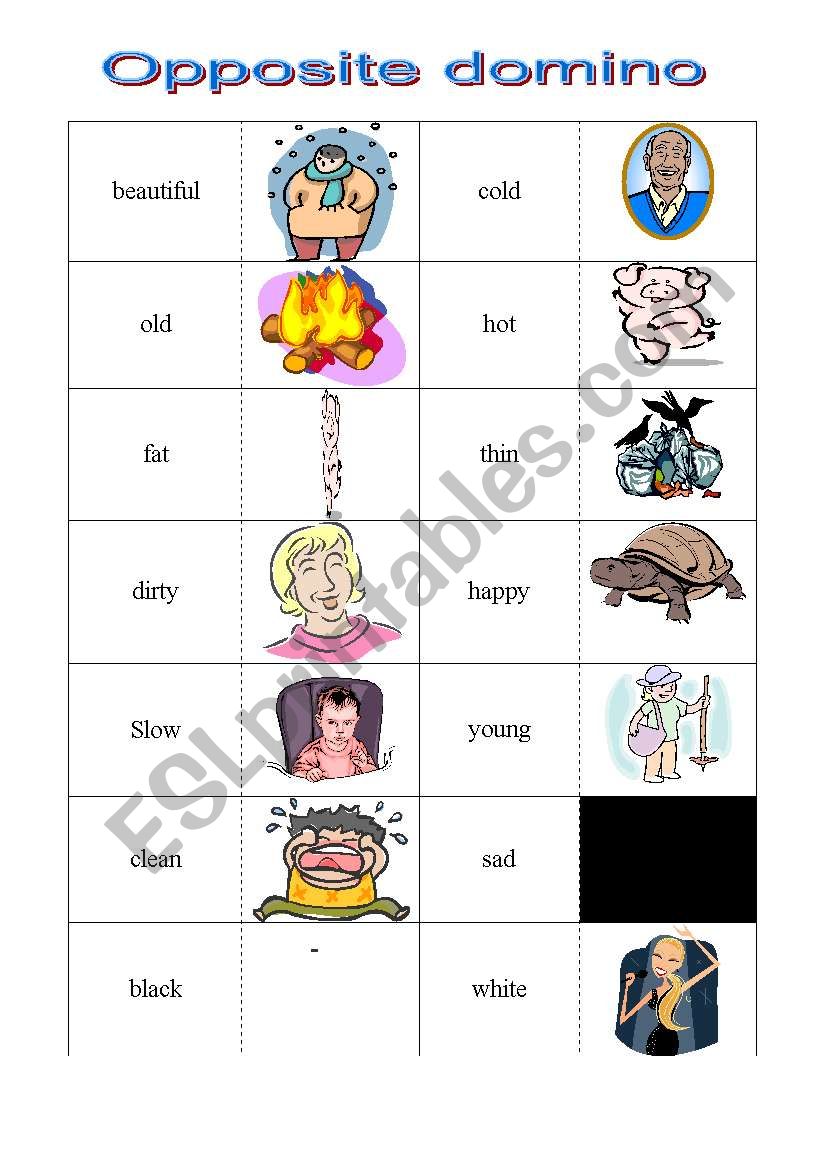 Opposite Domino worksheet