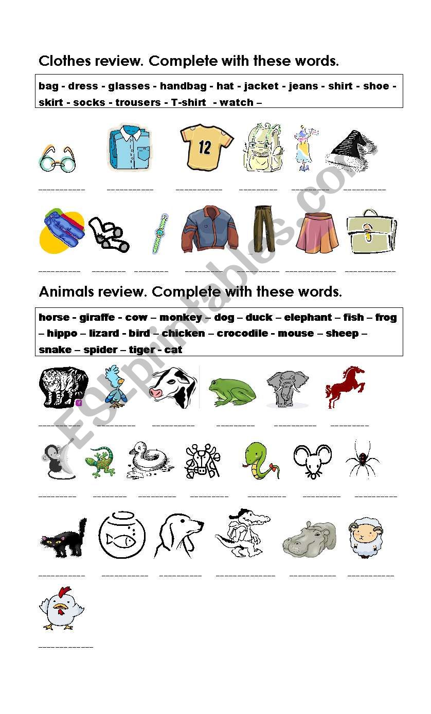 Clothes and Animals Review worksheet