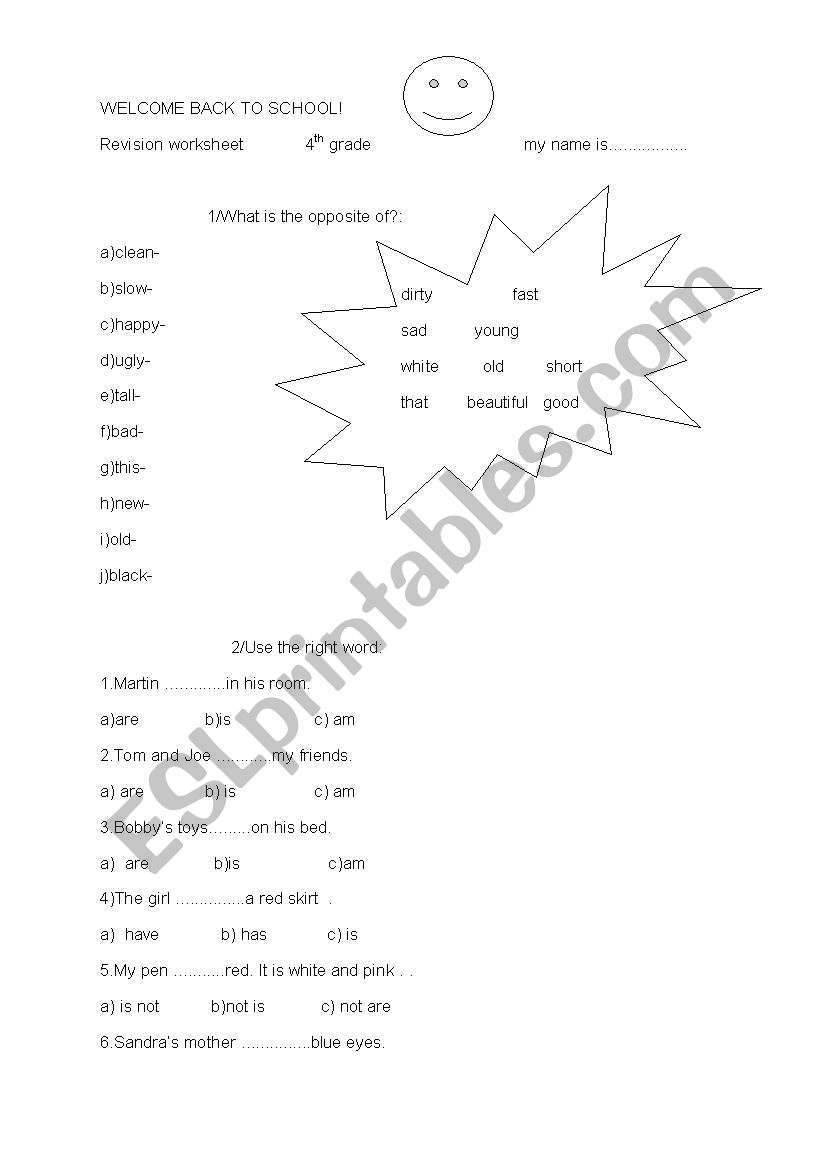 Revision worksheet worksheet