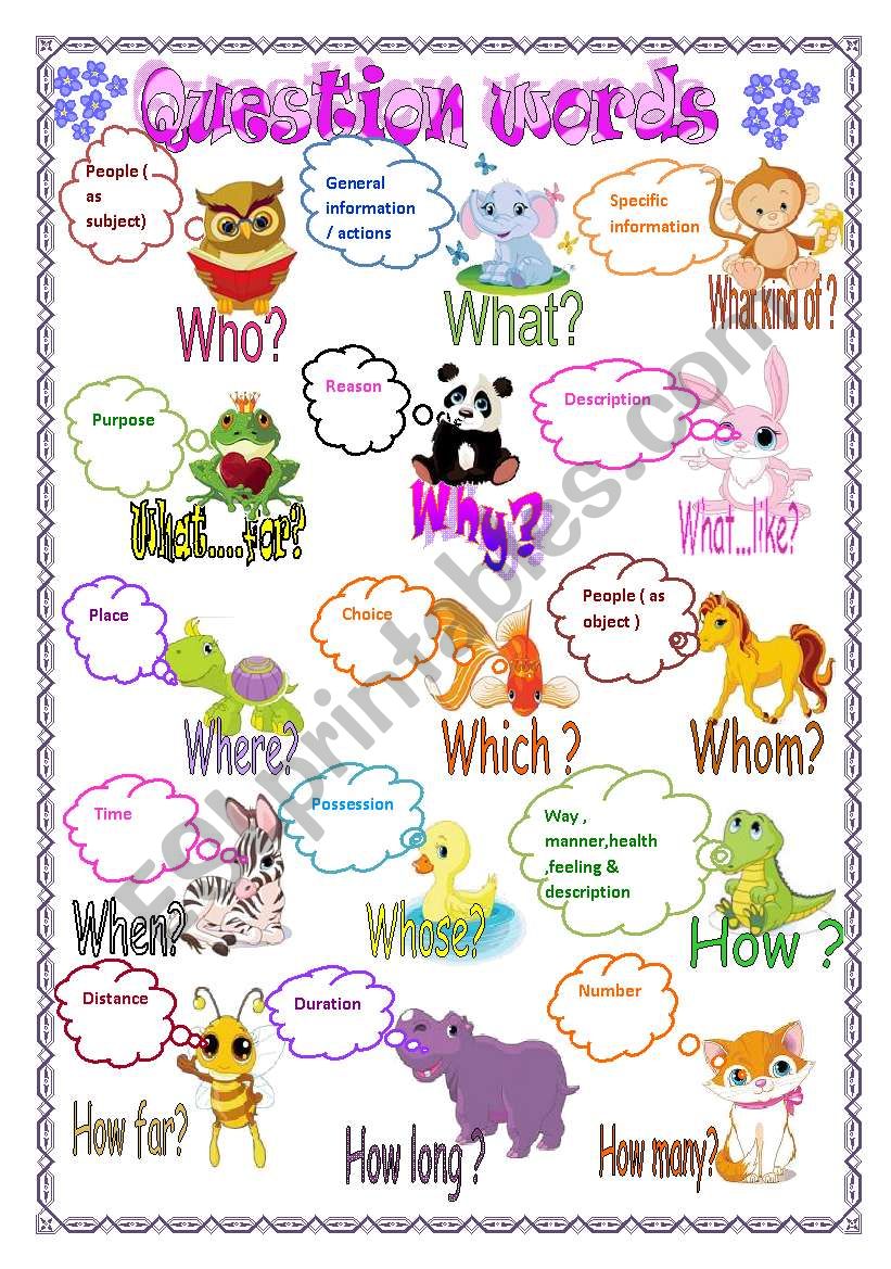 Question words worksheet