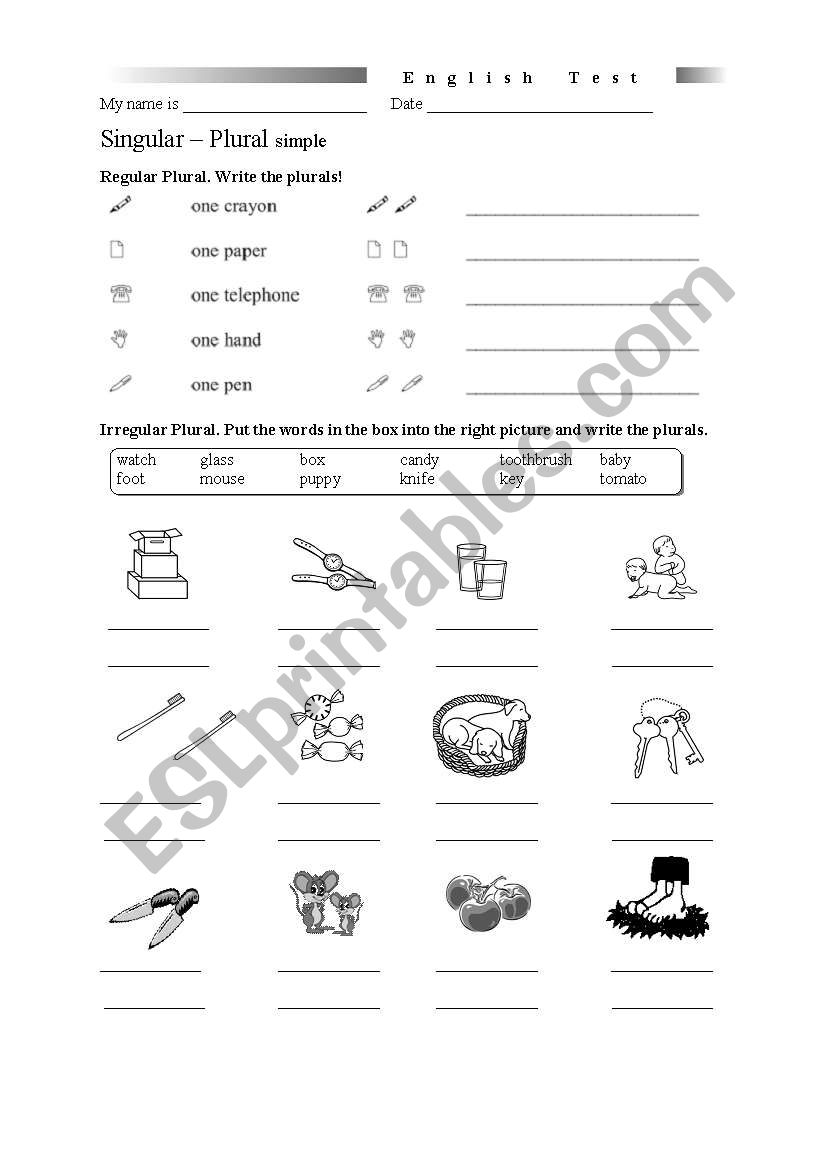 singular plural simple worksheet