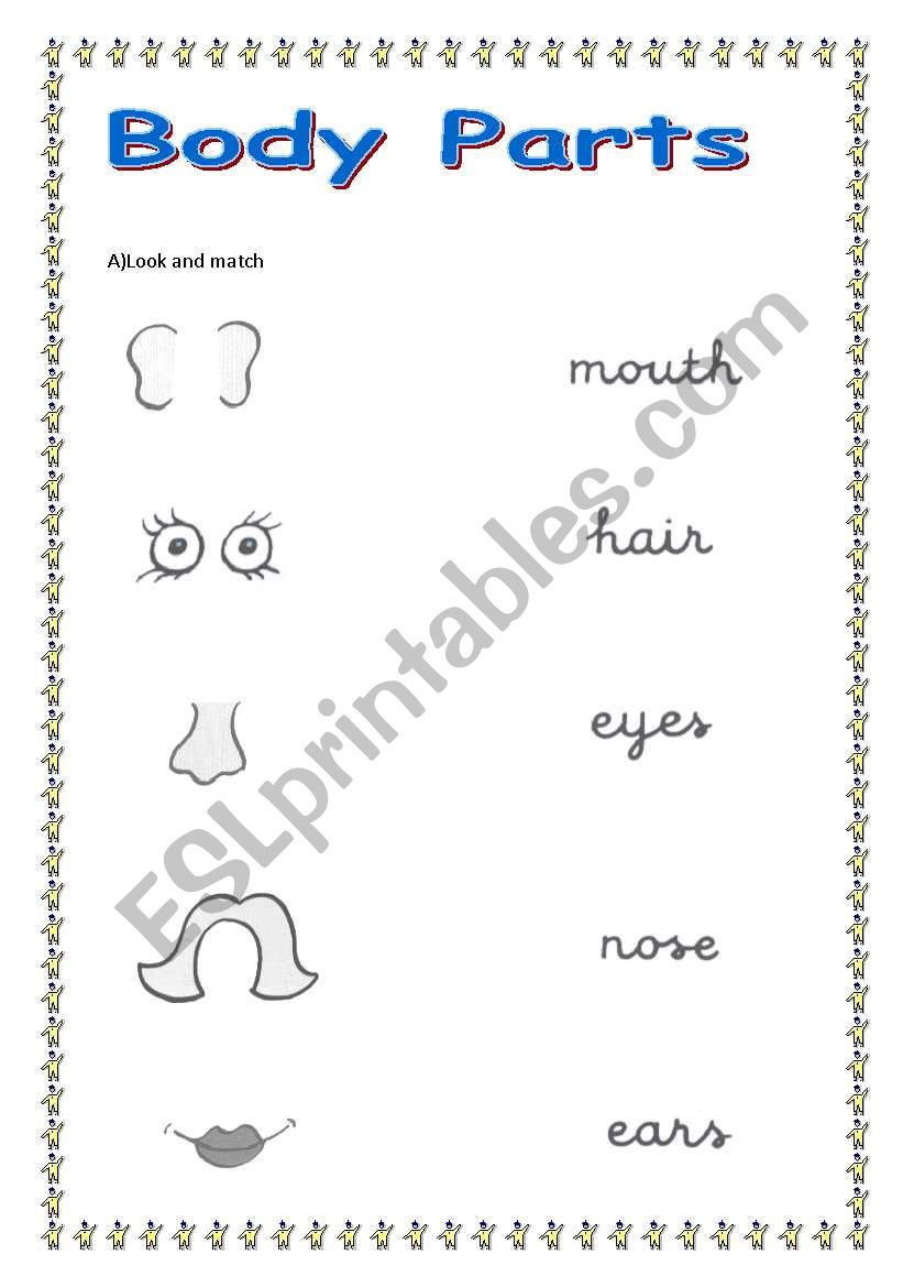 Parts of the body  worksheet