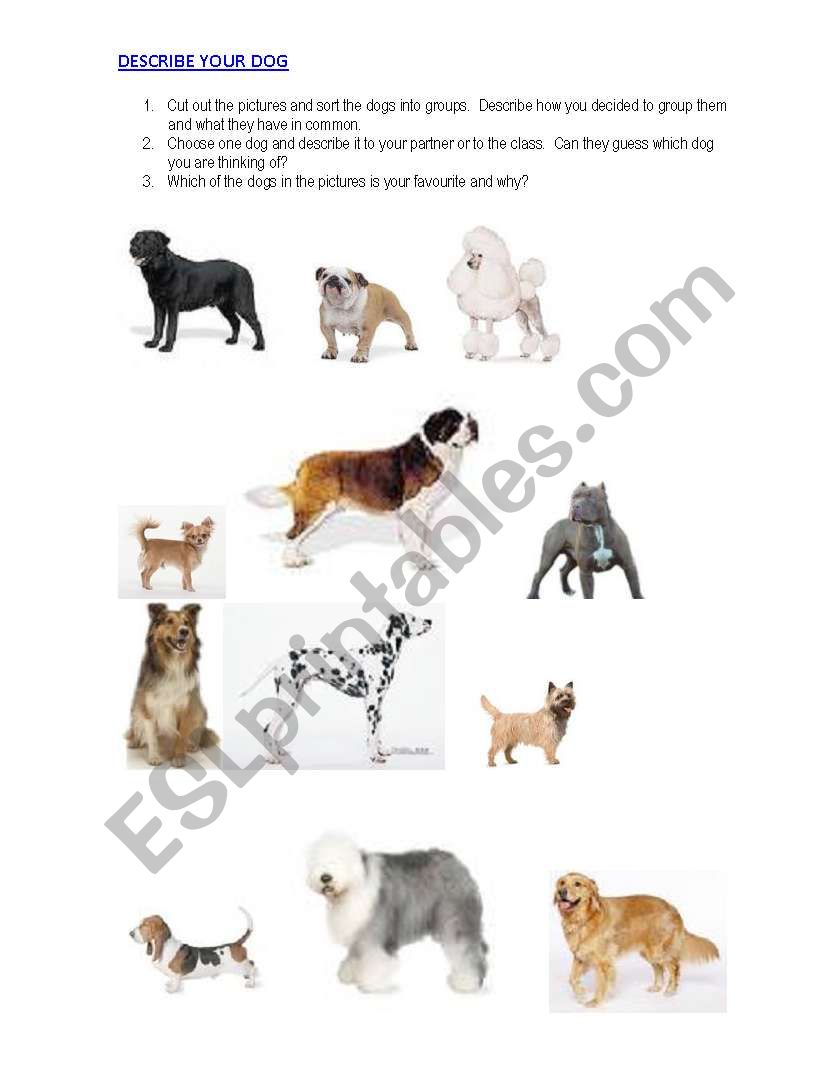 Describing Dogs worksheet