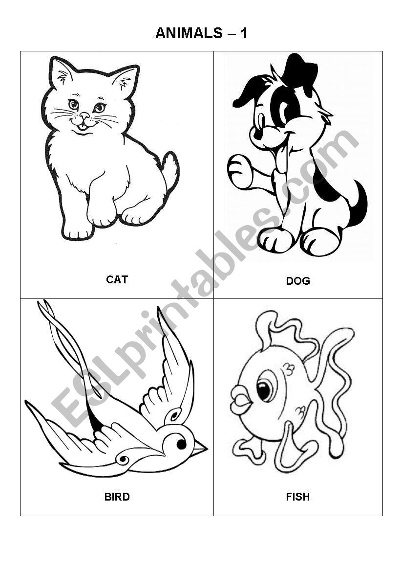 Animals - cat, dog, bird, fish