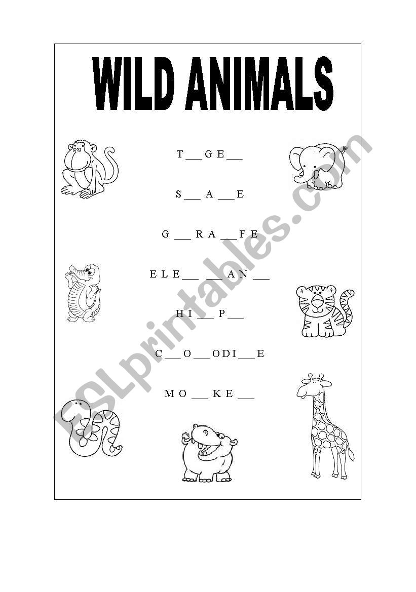 wild animals! worksheet