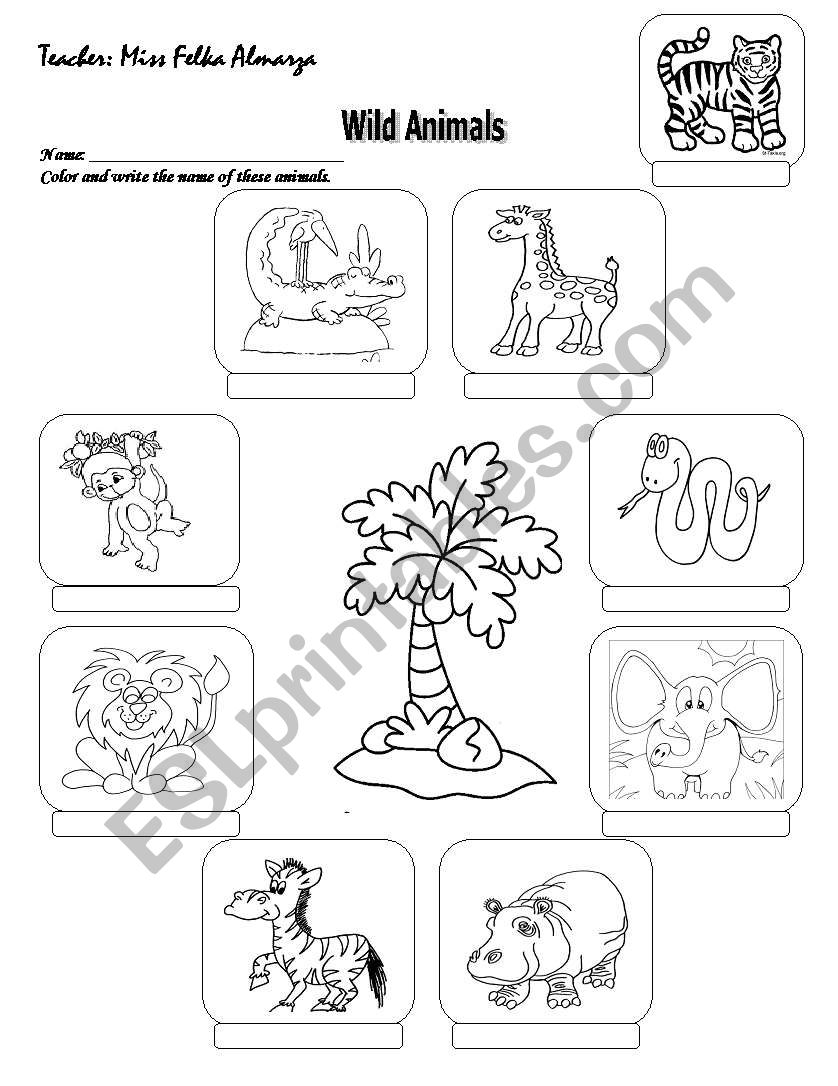 wild animals worksheet