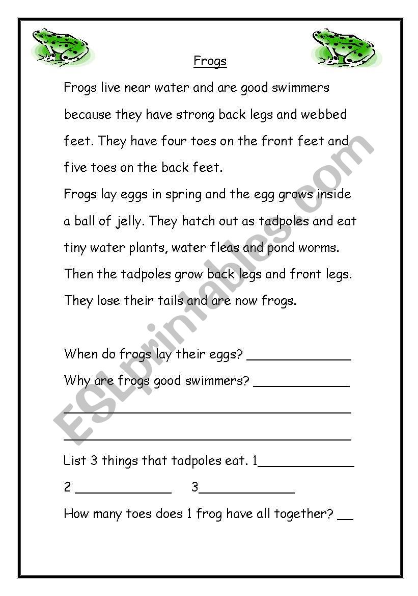 Frogs worksheet