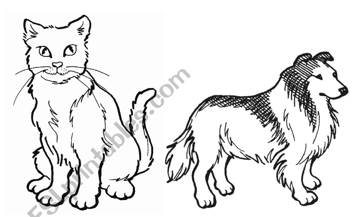 Domestic Animals worksheet