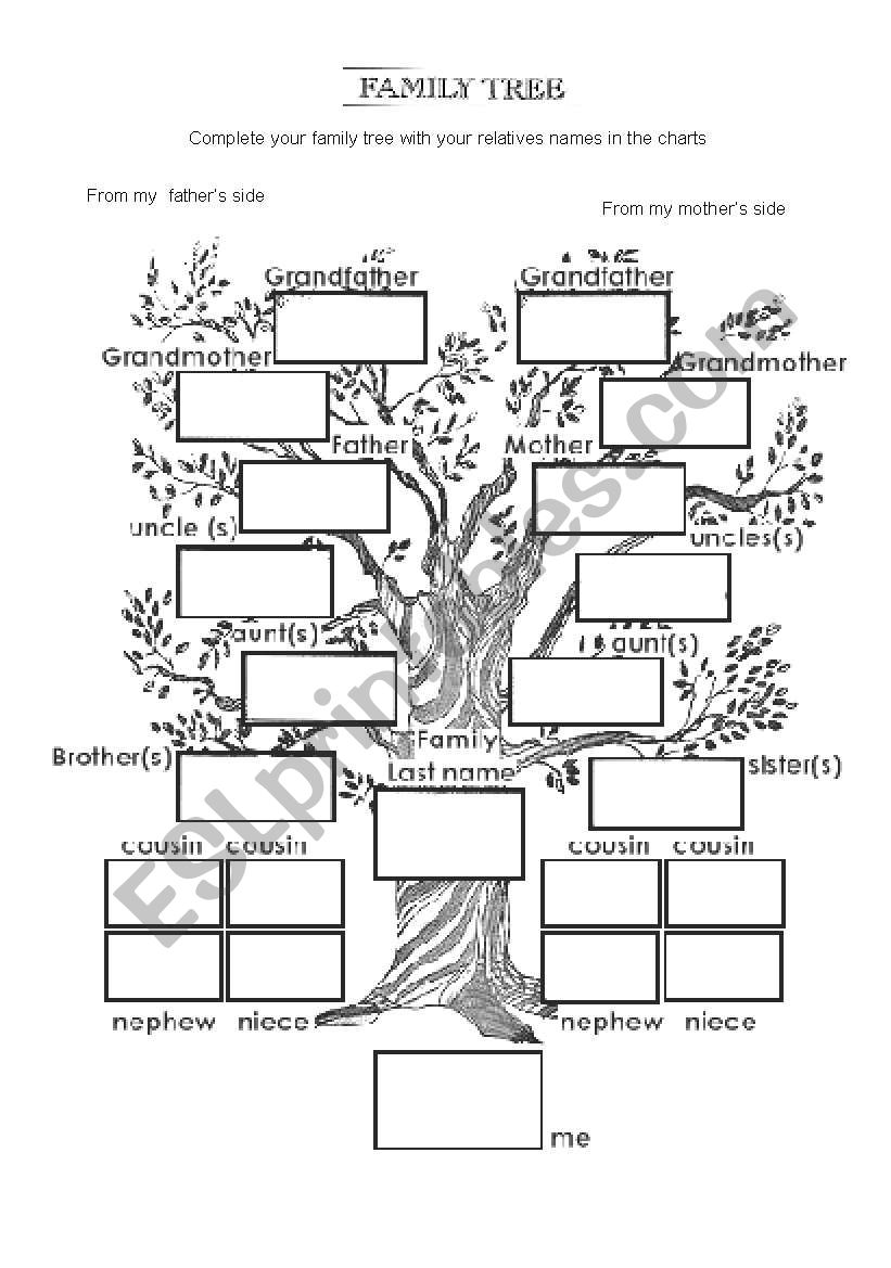 family tree worksheet