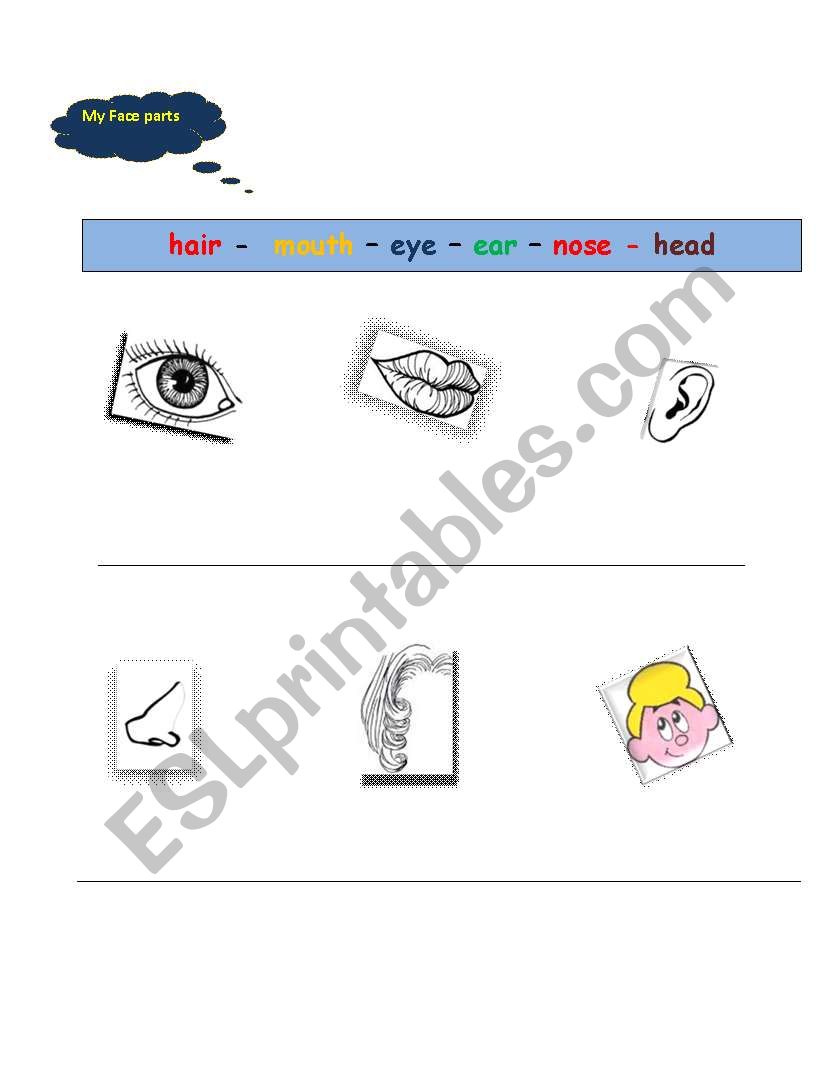 My Face parts worksheet