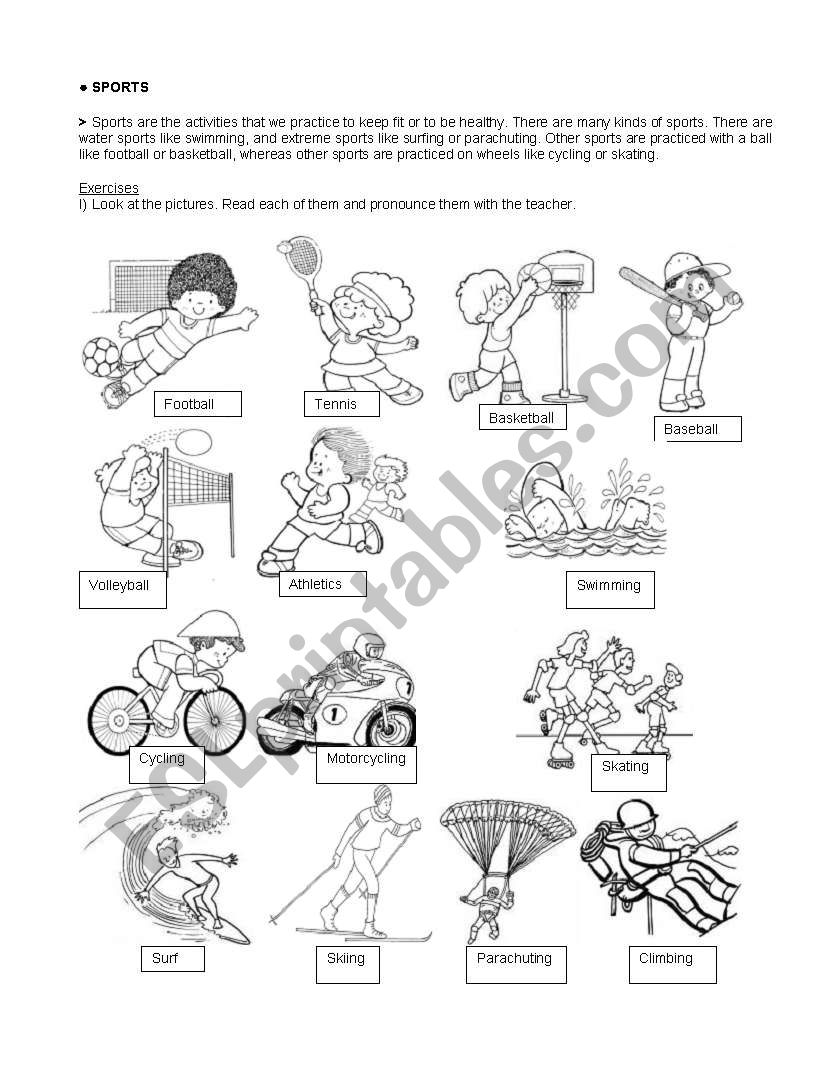 Sports worksheet