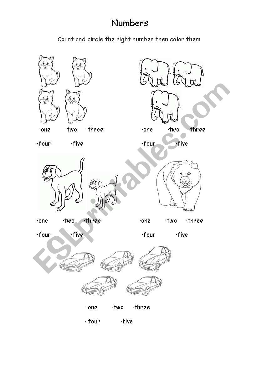 Numbers worksheet