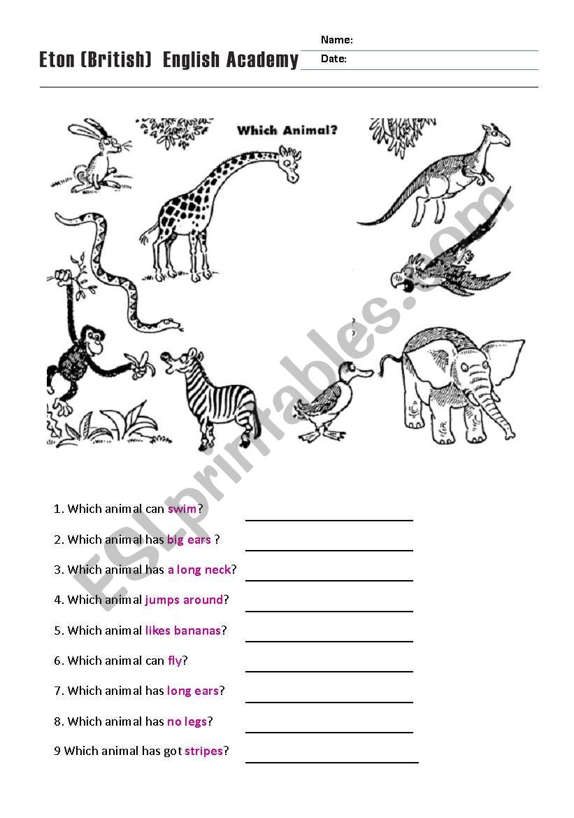 animals worksheet worksheet